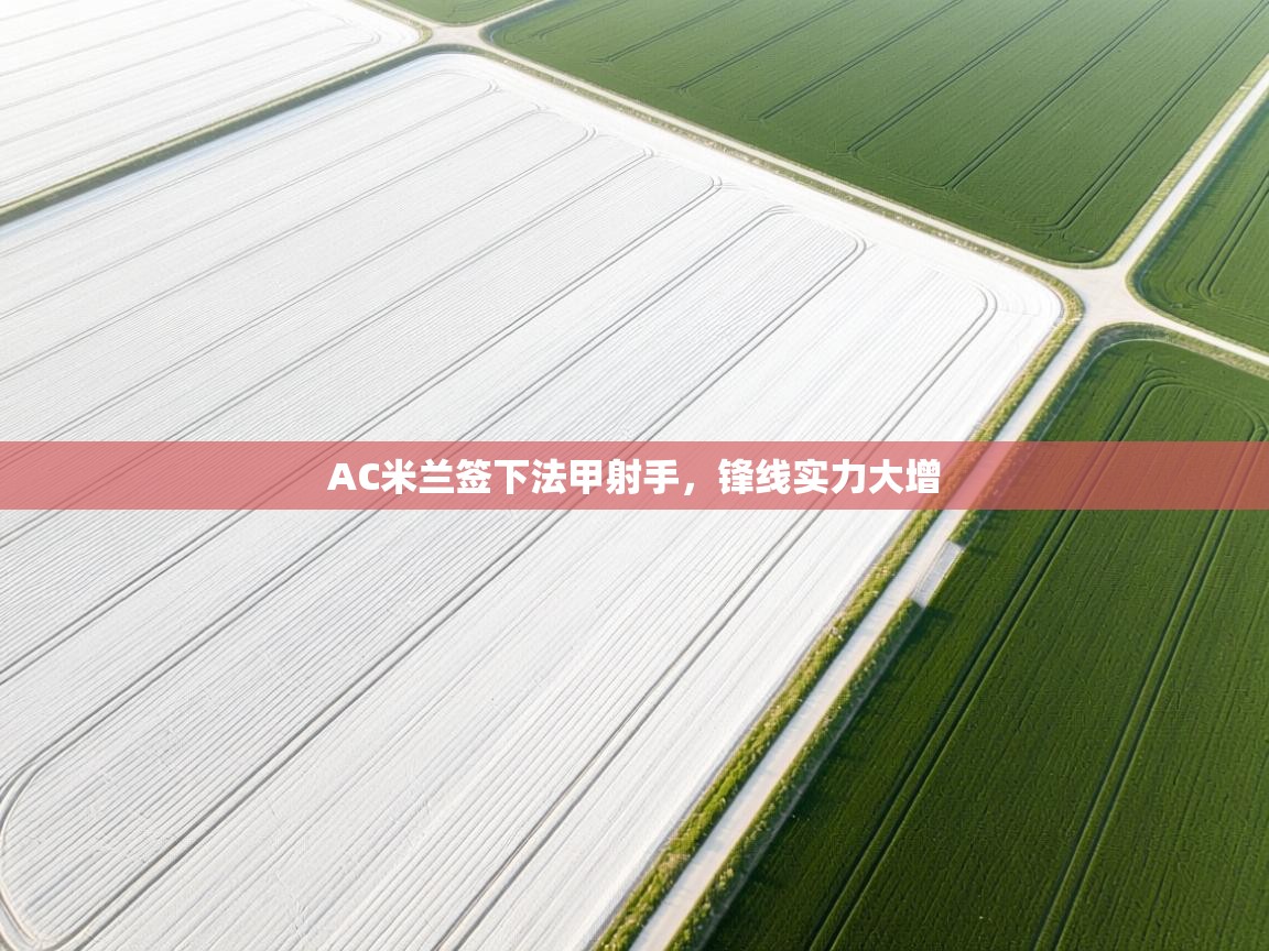 AC米兰签下法甲射手,锋线实力大增 第1张