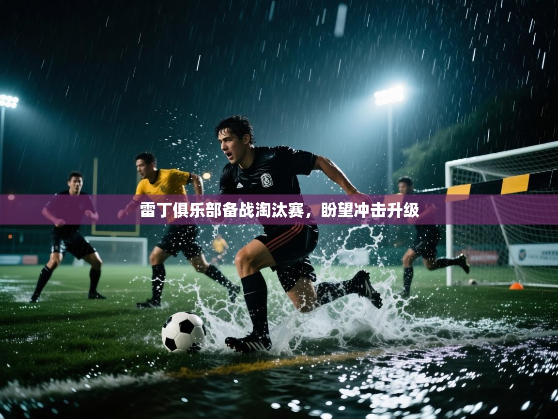 雷丁俱乐部备战淘汰赛，盼望冲击升级