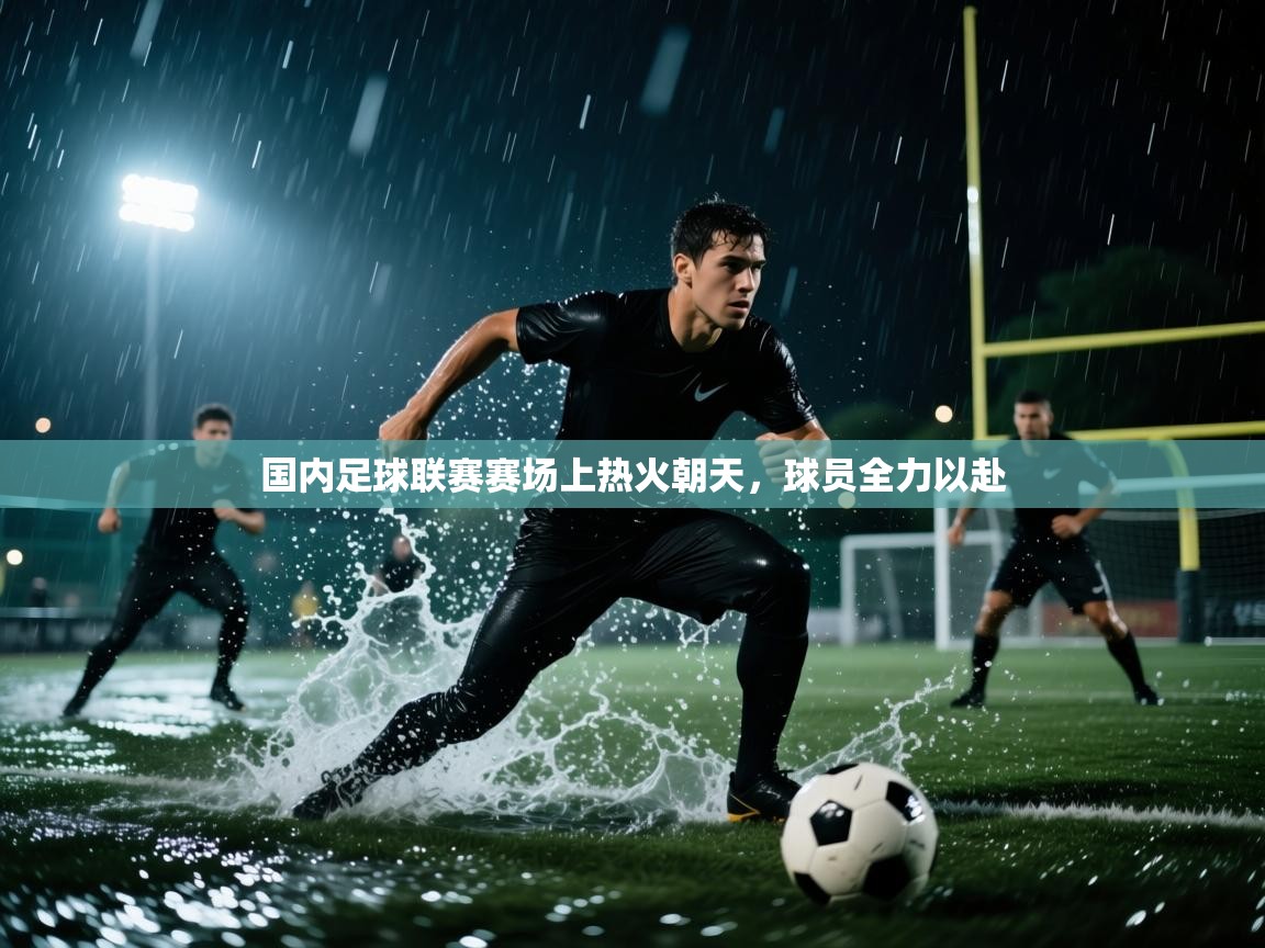 国内足球联赛赛场上热火朝天，球员全力以赴  第1张