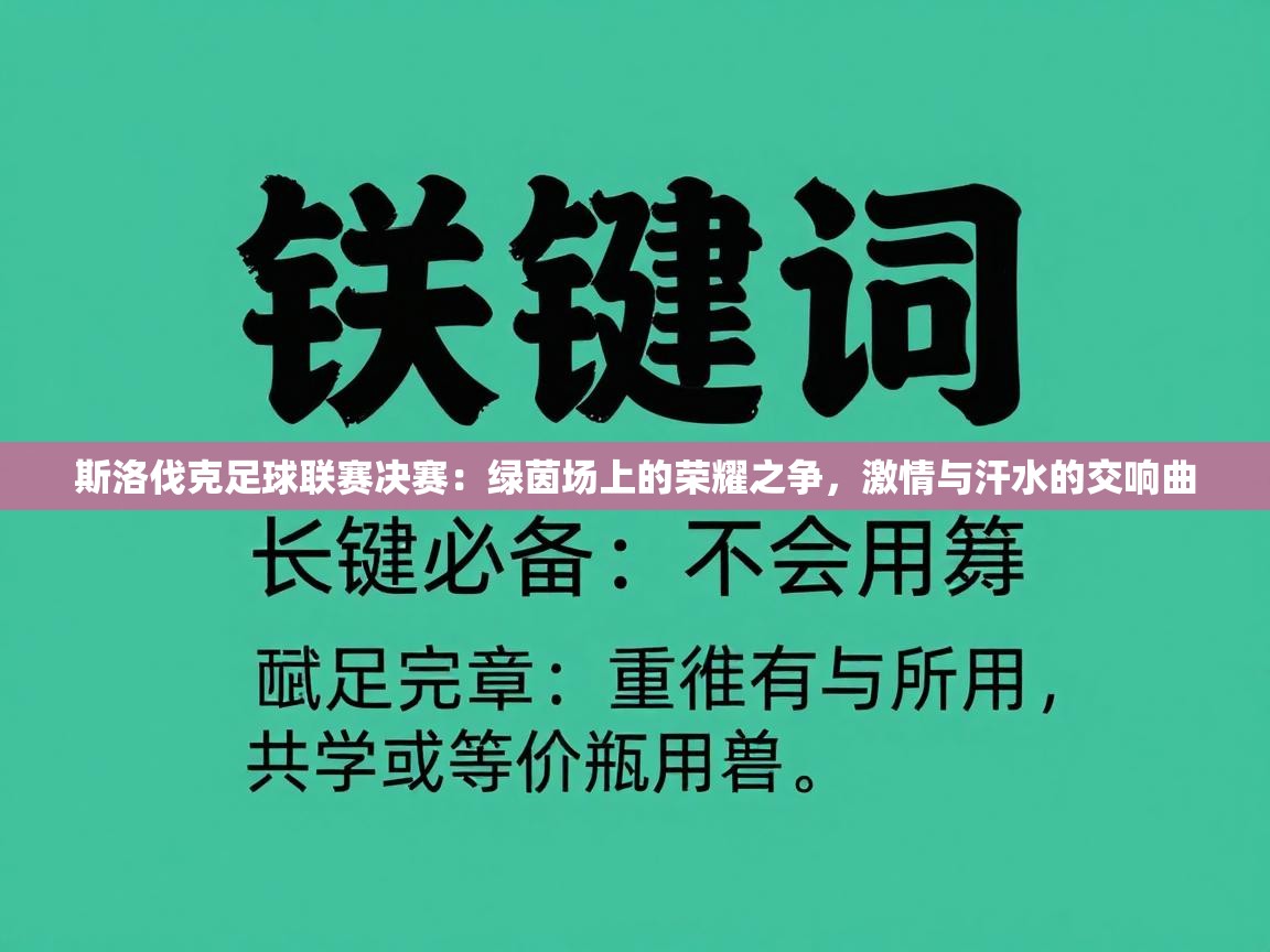 斯洛伐克足球联赛决赛：绿茵场上的荣耀之争，激情与汗水的交响曲